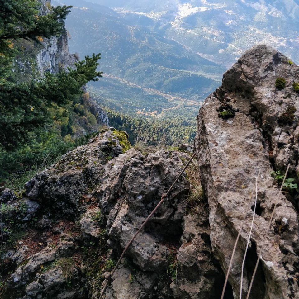 ΠΑΡΝΑΣΣΟΣ (ΒΑΡΓΙΑΝΗ - ΝΕΡΑΪΔΟΣΠΗΛΙΑ)